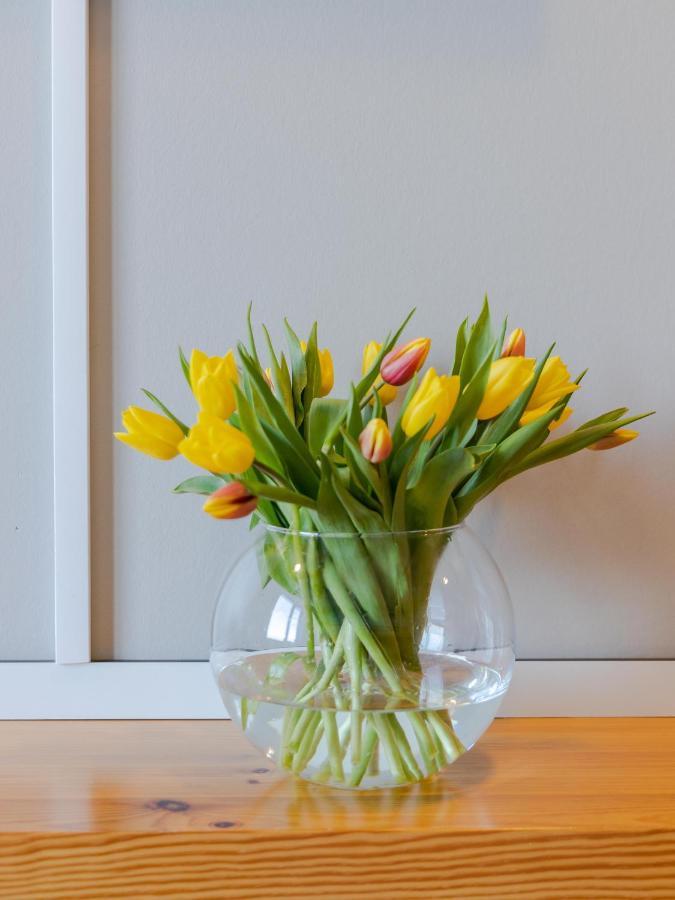 Hostel Haus 54 Zingst Zewnętrze zdjęcie