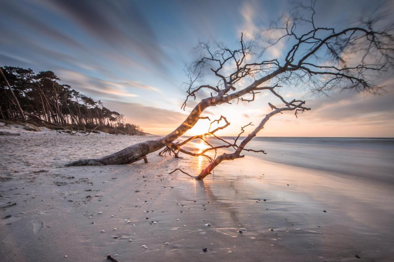 Hostel Haus 54 Zingst Zewnętrze zdjęcie